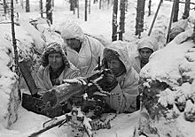 Какие страны поддержали Финляндию в Зимнюю войну с СССР