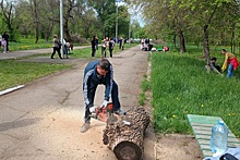 Более 10 тысяч деревьев привели в порядок на Дону за весенний месячник чистоты