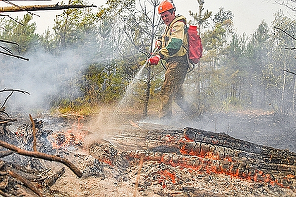 Путин высказался о ситуации с лесными пожарами в регионах России