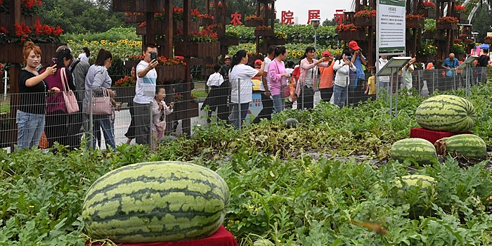 В Чанчуне открылась крупная выставка сельхозпроизводства и продуктов питания