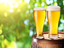 Музей пива открывается в Сербии