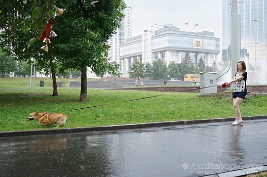 В День Победы в Свердловской области будет тепло и дождливо