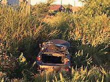 Улетел в камыши: под Самарой водитель Toyota снес дорожный знак и перевернулся