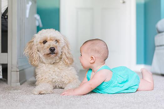 Почему полезно держать собаку в доме с ребенком