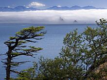 Японец приехал в Россию и поразился увиденному