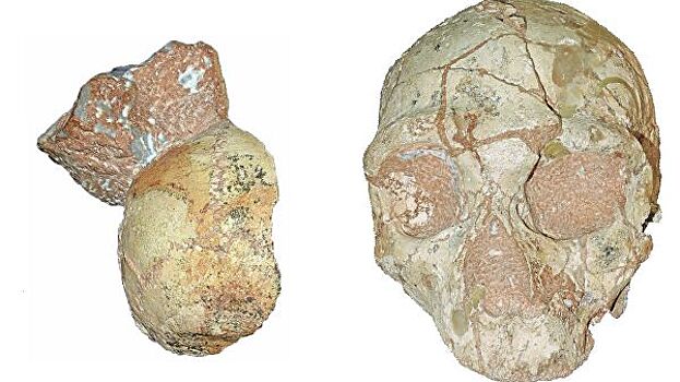 В Греции нашли останки самых древних людей на Земле