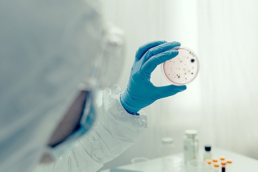 Заразившийся холерой россиянин контактировал более чем с 300 людьми