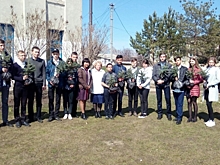 В Саратовской области у школы высадили новую еловую аллею