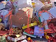 На Кубани на видео попало, как авто встали в пробку из-за завала из фруктов