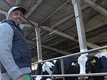 Фермер из Африки: нигериец занялся животноводством в Беларуси