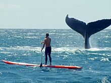 В прокат выходит документальный фильм о женщинах, работающих в море