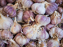 Названа скрытая опасность чеснока