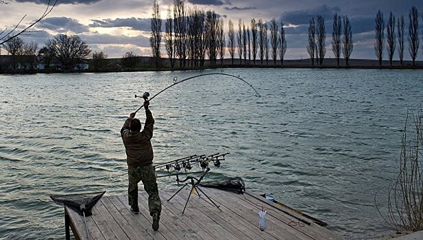 Тюменские рыбоводы выпустили в озера рекордное количество рыбной молоди