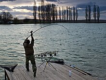 Тюменские рыбоводы выпустили в озера рекордное количество рыбной молоди
