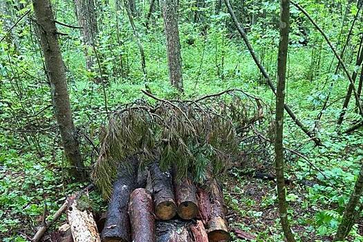 Тело скрыли ветками: подросток и мужчина жестоко убили россиянина