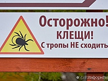 На Среднем Урале в 1,5 раза выросло число госпитализированных с подозрением на клещевой энцефалит