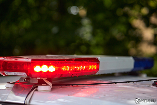 Полиция задержала водителя легковушки после автокатастрофы с шестью погибшими в Приамурье