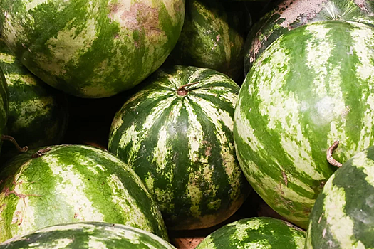 Красноярский край нарастил импорт арбузов