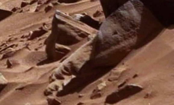 На Марсе разглядели "лицо египетской статуи"