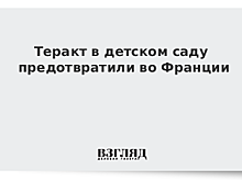 Теракт в детском саду предотвратили во Франции