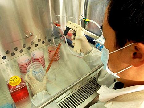 Ученые выявили механизм рождения стволовых клеток крови