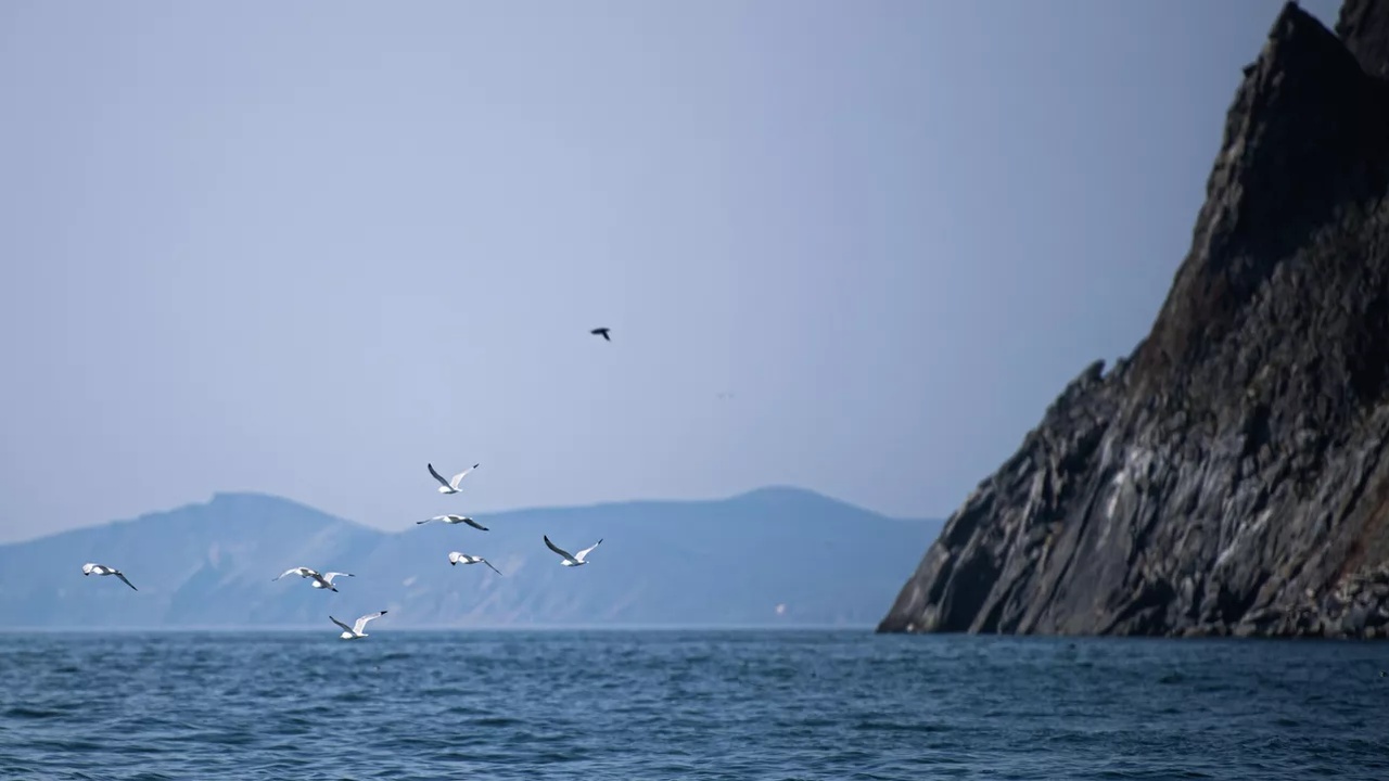 The Economist: США и Россия обсуждают туннель под Беринговым проливом