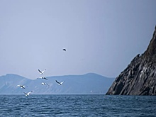 США и Россия обсуждают туннель под Беринговым проливом