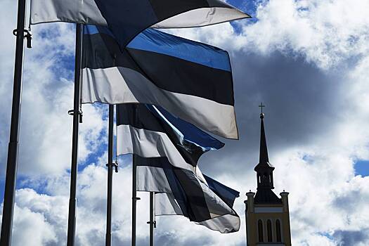 В Эстонии назвали сроки передачи Киеву замороженных в стране российских активов