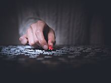 Иллюзия, которая ломает глаза: найдите кота среди голубей