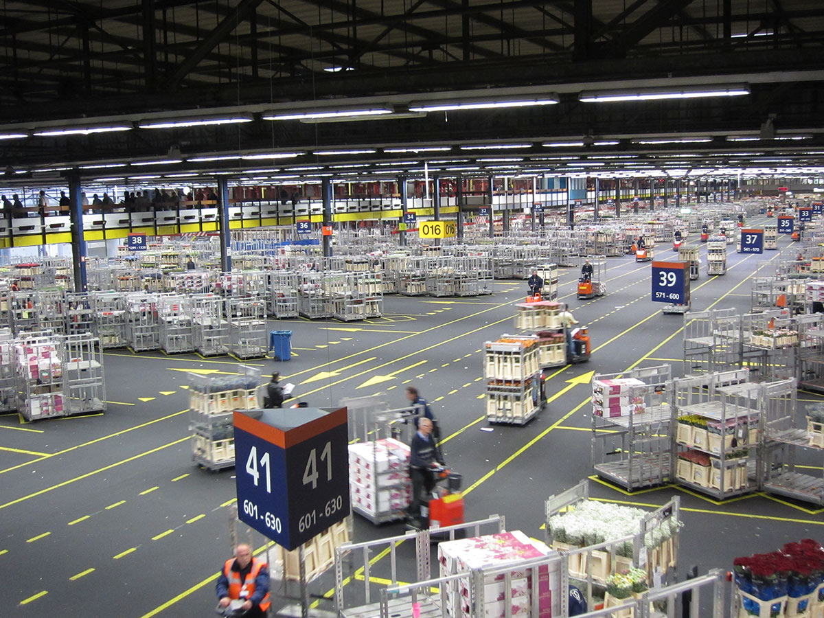 Цветочный аукцион FloraHolland, Амстердам, Нидерланды