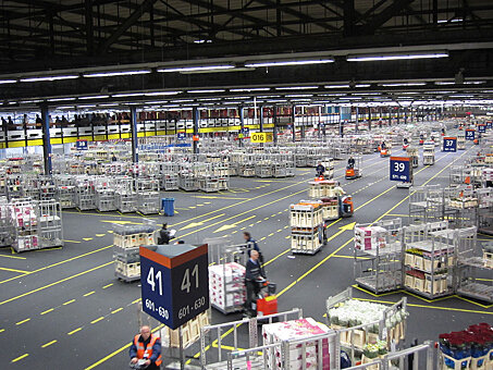Заглавное изображение Цветочный аукцион FloraHolland