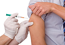 Новосибирские учёные: вакцинация может повысить мужскую фертильность