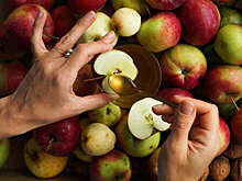 Экспорт грузинских яблок в Россию в 2025 году вырос в 2,3 раза и достиг рекорда