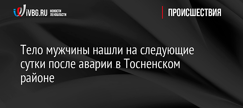 Тело мужчины нашли на следующие сутки после аварии в Тосненском районе