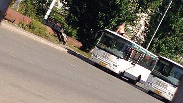Фото: полуголый водитель вышел загорать на крыше автобуса в Тюмени
