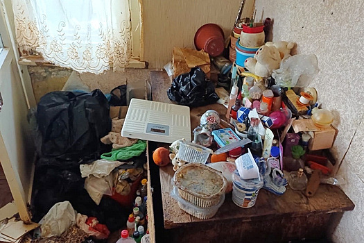 Приставы выселили челябинцев, устроивших приют для 40 кошек в квартире