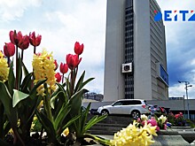 Новое назначение произошло в правительстве Приморского края