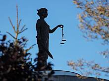 Выкинувший из окна четвертого этажа кота российский блогер выслушал приговор