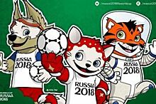Тридцать три фигуры котов-футболистов появятся в Санкт- Петербурге перед ЧМ-2018