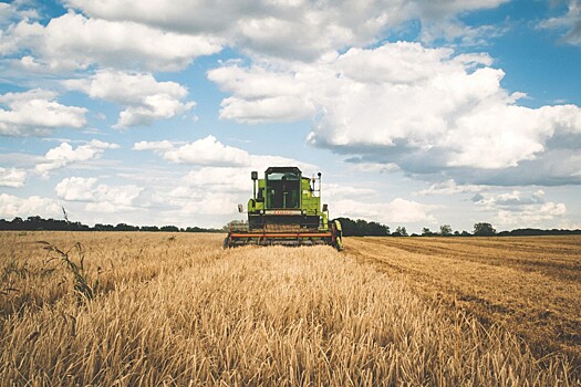 Мордовия нарастила производство зерновых и сахарной свеклы в 2022 году