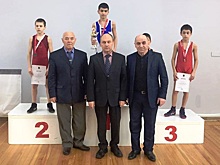 «Самбисты» из Черемушек одержали победу на первенстве по греко-римской борьбе