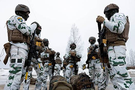 В Германии раскритиковали гарантии безопасности НАТО для Украины