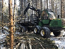 Ярославские арендаторы лесных участков в числе первых в стране стали использовать харвестеры и форвардеры