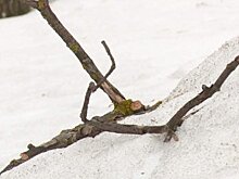 В Заречном бордюры восстановят после «варварской» зимней уборки