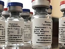 Первая в мире российская вакцина от COVID-19 готова: зарубежные страны выстраиваются в очередь