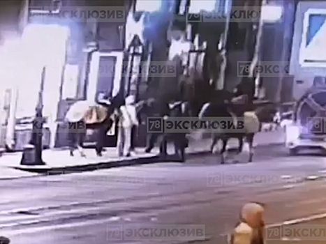 В центре Питера парень вышел из караоке-клуба, его за нос укусил конь