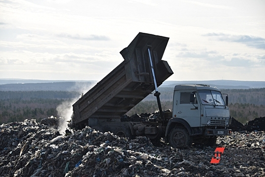 В 2023 году в Ленобласти ликвидировали более 250 незаконных свалок