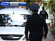 В Новосибирской области из оздоровительного лагеря пропали двое детей