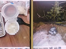 Муж и жена из Марий Эл пытались продать 1,5 кг наркотиков: обвинительное заключение утверждено