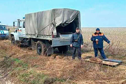 Старовойт: в Курской области поселок остался без света из-за обстрела со стороны ВСУ